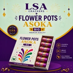 Flower Pots Asoka